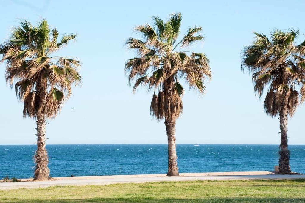 Apartment Apartamento Cerca Del Mar Badalona
